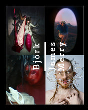 Load image into Gallery viewer, Björk I James Merry - Listasafn Íslands