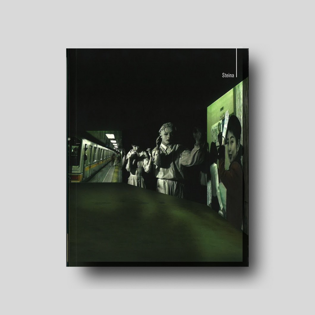 Steina: 1970-2000